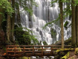 j5g9kveh91e0jp9o9vpk